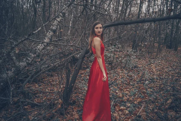 Jeune belle femme dans la longue robe rouge marche le long de forêt mystérieuse brumeuse — Photo