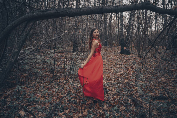 Young beautiful woman in the long red dress is walking along foggy mysterious forest.