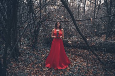 Uzun kırmızı elbiseli güzel bir kadın sisli ve gizemli ormanda yürüyor.