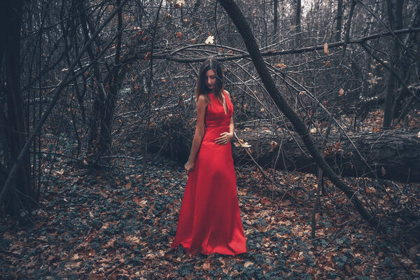 Young beautiful woman in the long flying red dress is walking along foggy mysterious forest.