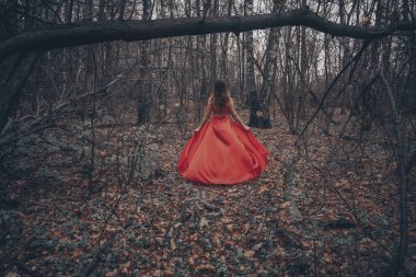 Uzun kırmızı elbiseli güzel bir kadın sisli ve gizemli ormanda yürüyor.