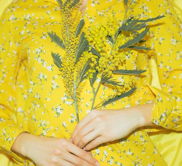 Retrato Una Mujer Joven Bonita Con Mimosa Sobre Fondo Amarillo —  Fotos de Stock