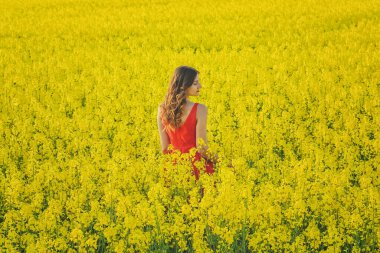 Kırmızı elbiseli güzel bir kız sarı tarlanın ortasında turp çiçekleriyle birlikte..