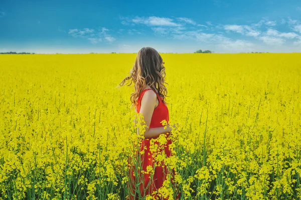 Giovane Bella Ragazza Abito Rosso Vicino Mezzo Campo Giallo Con — Foto Stock