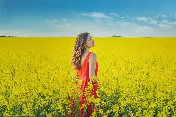 Giovane Bella Ragazza Abito Rosso Vicino Mezzo Campo Giallo Con — Foto Stock