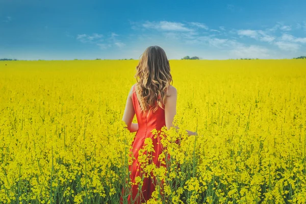 Giovane Bella Ragazza Abito Rosso Vicino Mezzo Campo Giallo Con — Foto Stock