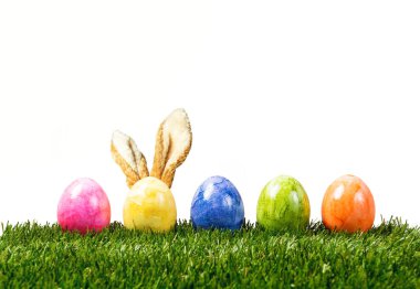 Beş renkli Paskalya yumurta bunny ea ile yeşil çimenlerin üzerinde bir dizi