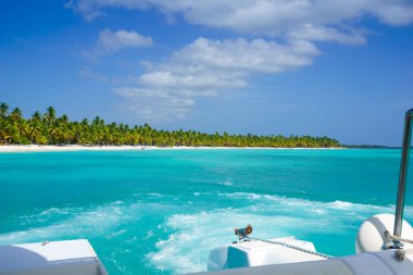 Palms coastline on caribbean beach, Island Saona