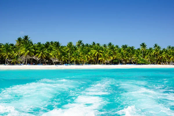 Palmeras en la playa caribeña, Isla Saona — Foto de Stock