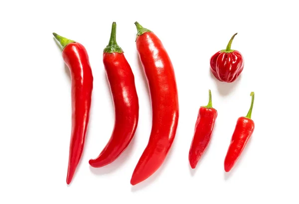 Diversi tipi di peperoncino rosso caldo isolato su uno sfondo bianco — Foto Stock