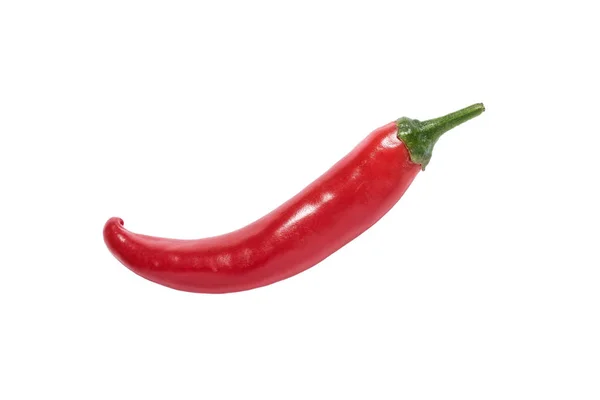 Red chili pepper isolated on a white background — Stock Photo, Image