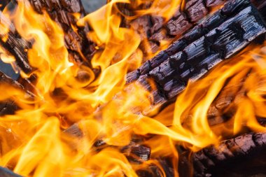 kret üzerinde ahşap şöminede yanan alev