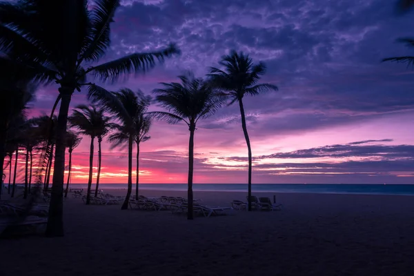Силуэт пальм на закате на тропическом острове — стоковое фото