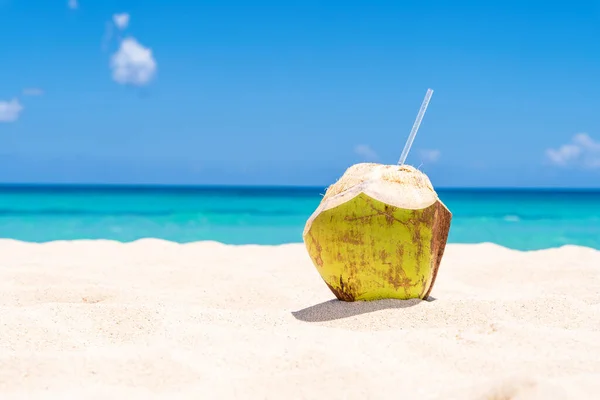 Čerstvý kokos na bílé karibské pláži — Stock fotografie