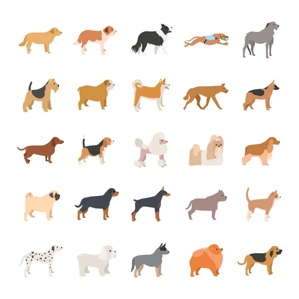 Perros vector de color iconos — Archivo Imágenes Vectoriales