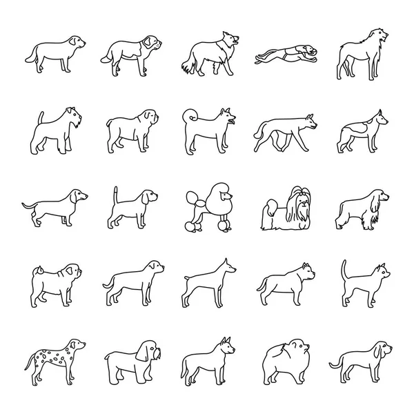 Cães delineia ícones vetoriais —  Vetores de Stock