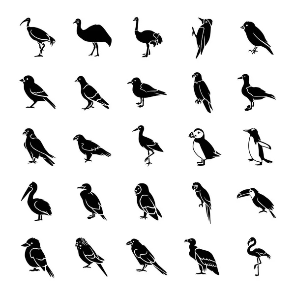 Fåglar glyph vektor ikoner — Stock vektor