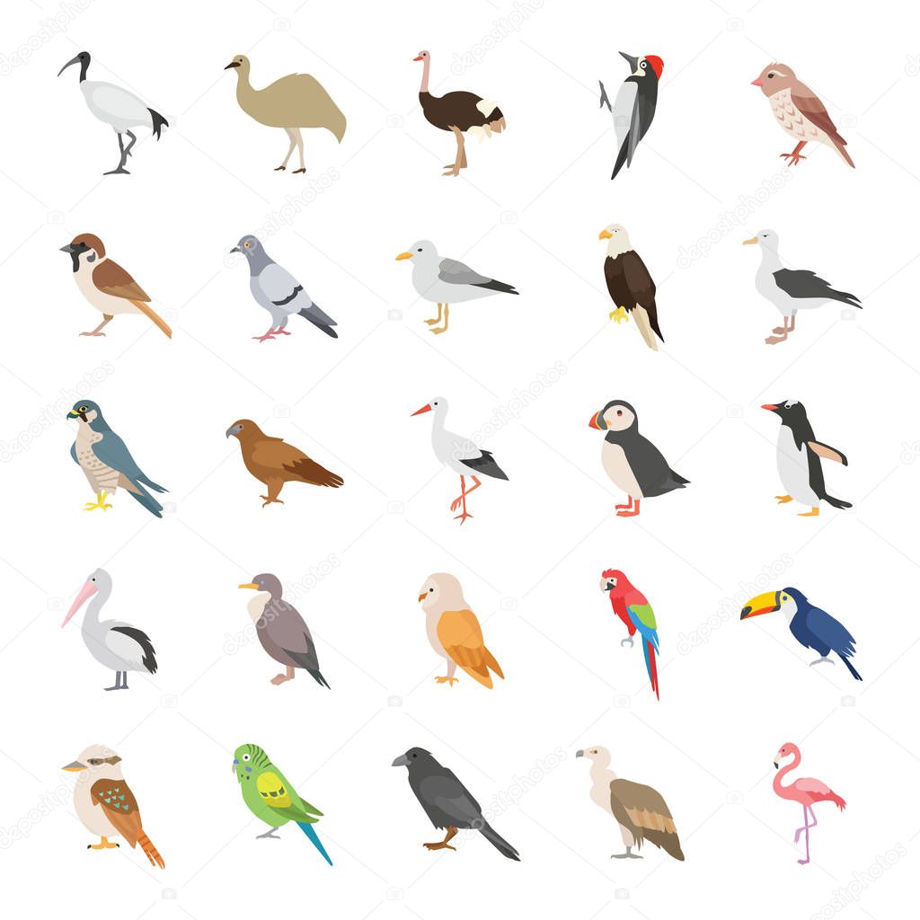 Birds color vector icons