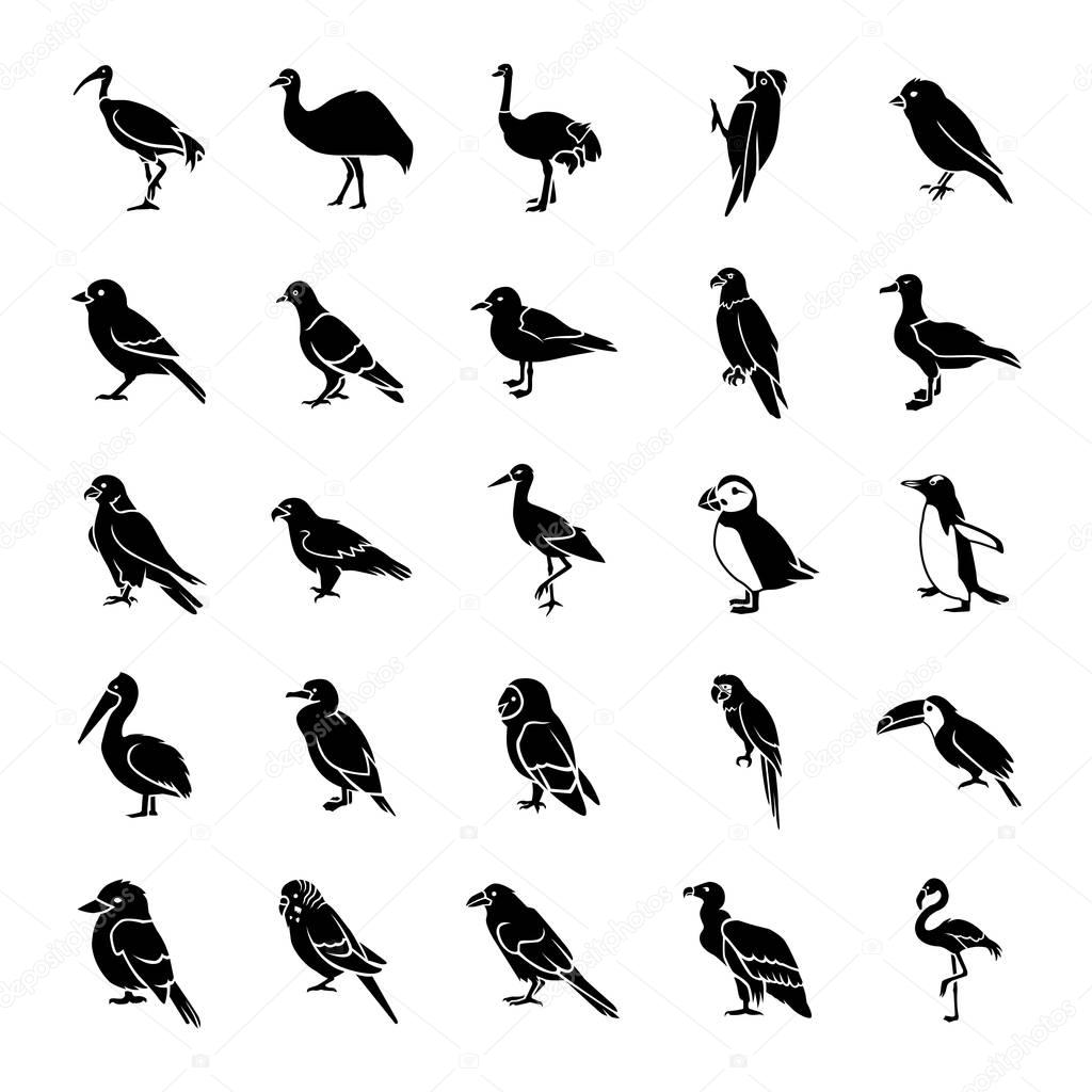 Birds glyph vector icons