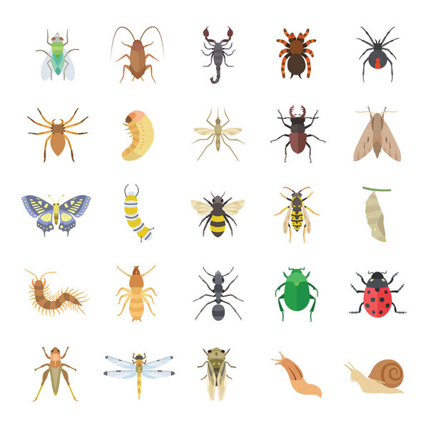 25 значков вектора цвета насекомых
