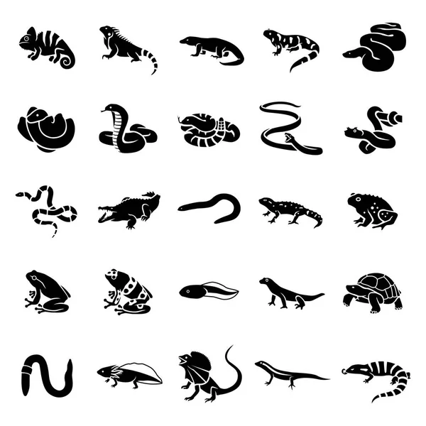Reptiles & Iconos de vectores de glifos de anfibios — Vector de stock