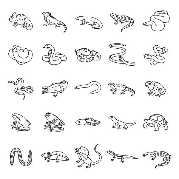 Reptiles & Amphibians outlines vector icons