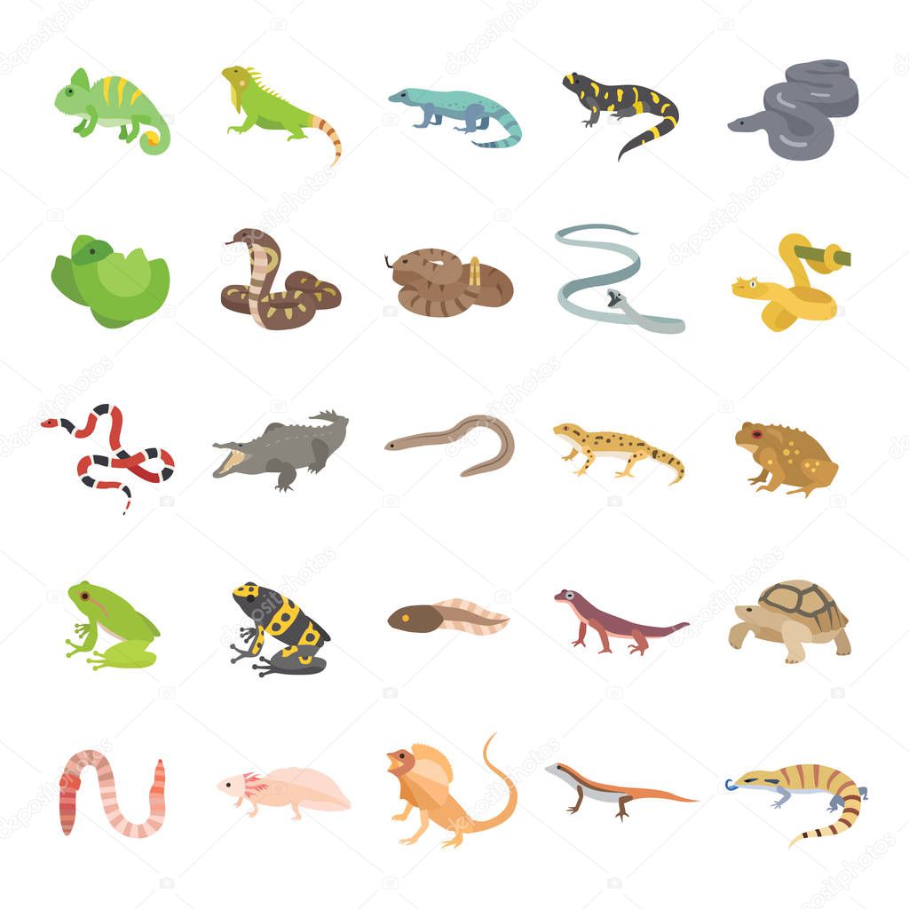 Reptiles & Amphibians color vector icons