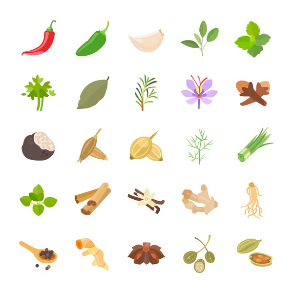 Herbs Spices Color Vector Icons — Stock Vector