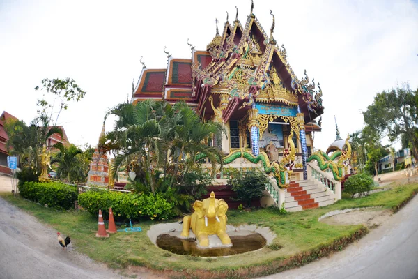 Estátua de buddha no templo em koh samui tailândia — Fotografia de Stock