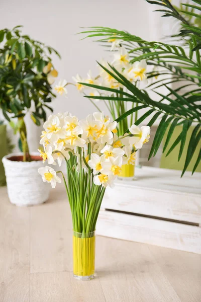 kelebekler, Bahar arka planını çiçekler ile nergis.