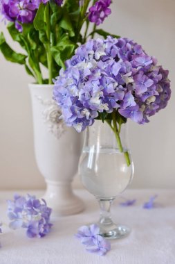 Cam vazoda HORTENSIA çiçekli natürmort