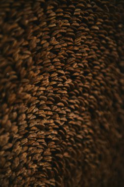 doku arka planını koniler yaprakları