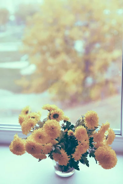 Autumn bouquet chrysanthemums is on the window — Stock Photo, Image