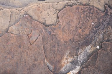 Beton duvar veya gri zemin, endüstriyel arka plan yüzeyi