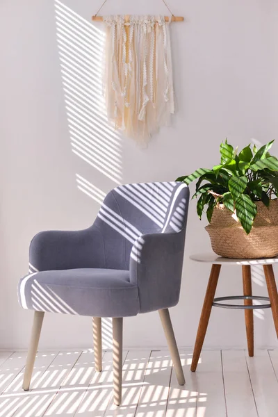 Koltuk ve bitki Panjur ile bir odada