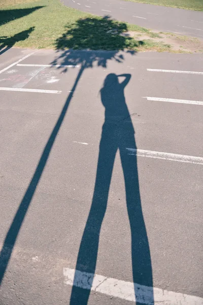 the shadow of the photographer and the tree . psychology. shadow sides