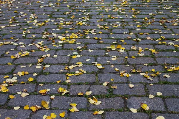 Fallen autumn leaves on the road of paving stones — Stock Photo, Image