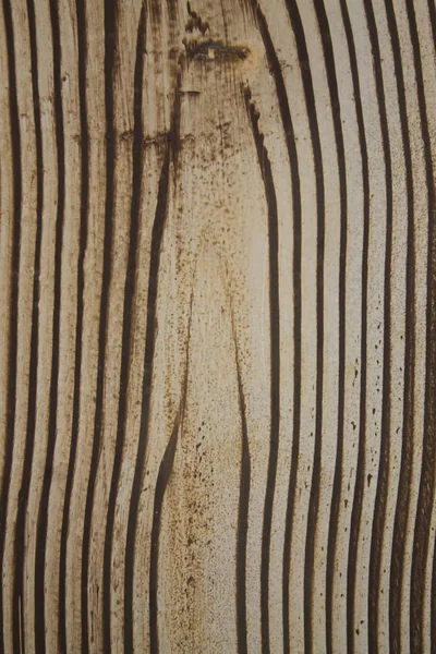 Легкая текстура дерева — стоковое фото