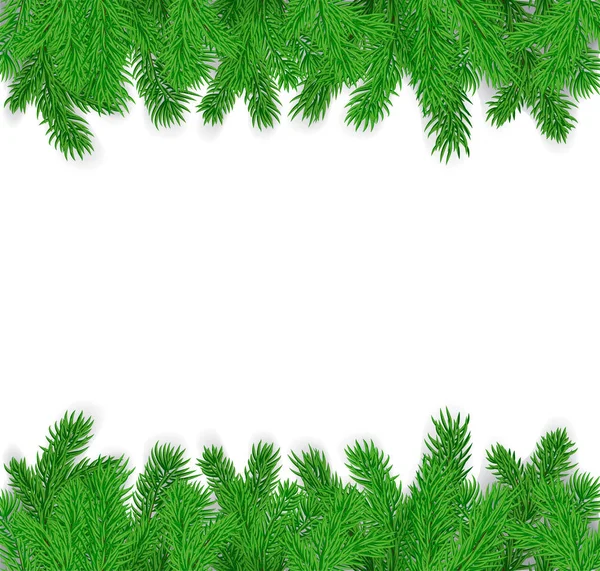 Fir branches on a white background — Stock Vector