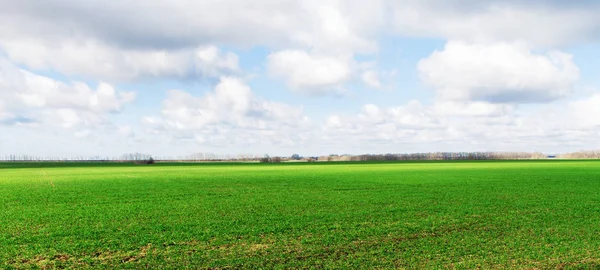 Campo verde Panorama com céu nublado — Fotografia de Stock