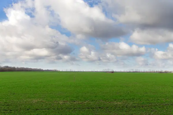 Пейзаж зеленого поля и облачное небо — стоковое фото