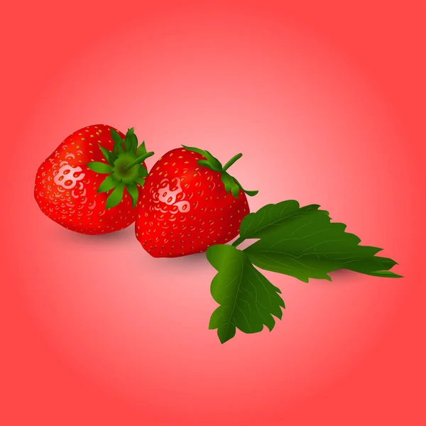 Strawberry with leaves — Stock Vector