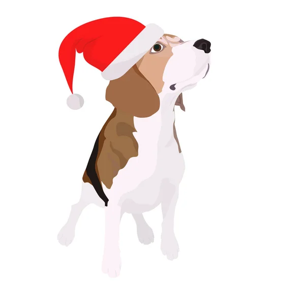 Beagle köpek bir yılbaşı şapkalı boyalı. Yeni yıl 2018 sembolü