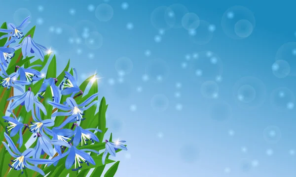 Μπλε κάρτα με λουλούδια σκιλοκρόμμυδο — Διανυσματικό Αρχείο