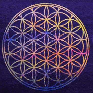 Çiçek yaşam. Kutsal geometri. Lotus çiçeği. Mandala süsleme. Ezoterik veya manevi sembolü. Budizm çakra. Geomtrical şekil, daireler örtüşen oluşur. Eski çağlardan beri dekoratif motif