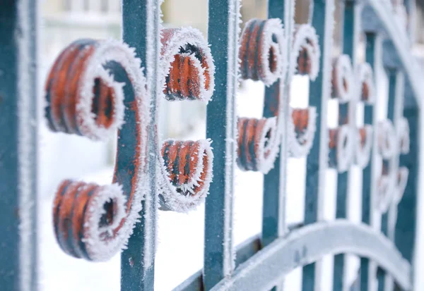 Paesaggio Invernale Con Recinzione Ferro Recinzione Decorativa Metallo Colorato Battuto — Foto Stock