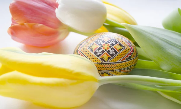 Hermosa Flor Tulipán Flor Huevos Coloridos Pascua Diseño Floral Fondo — Foto de Stock