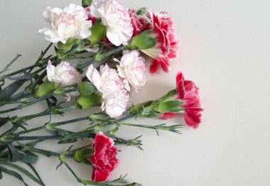 Açık masa örtüsünün üzerinde bir demet taze pembe karanfil. Yatay format. Güzel bahar çiçekleri kes. Anneler Günü geçmişi. Üst Manzara. Tatil ve mevsimlik tasarım. Tebrik kartı ve kopyalama alanı.