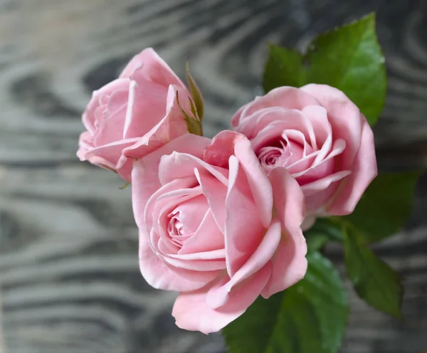 Bouquet Rose Rosa Uno Sfondo Legno Sfondo Della Festa Della — Foto Stock