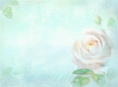 Açık turkuaz renkli gül çiçek ile kartı. Şablon bir davet, düğün, doğum günü, yıldönümü veya benzer olay, kapak sayfası, afiş, poster, afiş, kartvizit tasarımı gül desenli /